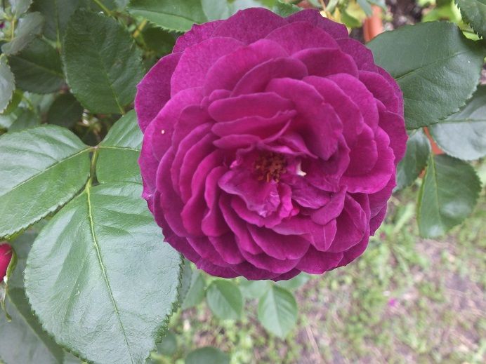  photo ebbtide3_zps2a8cde3d.jpg